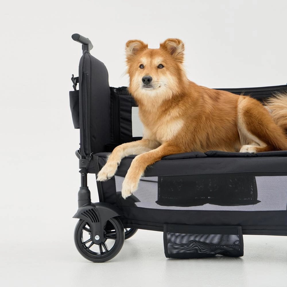 Watermelon  (MW6) Pet Stroller