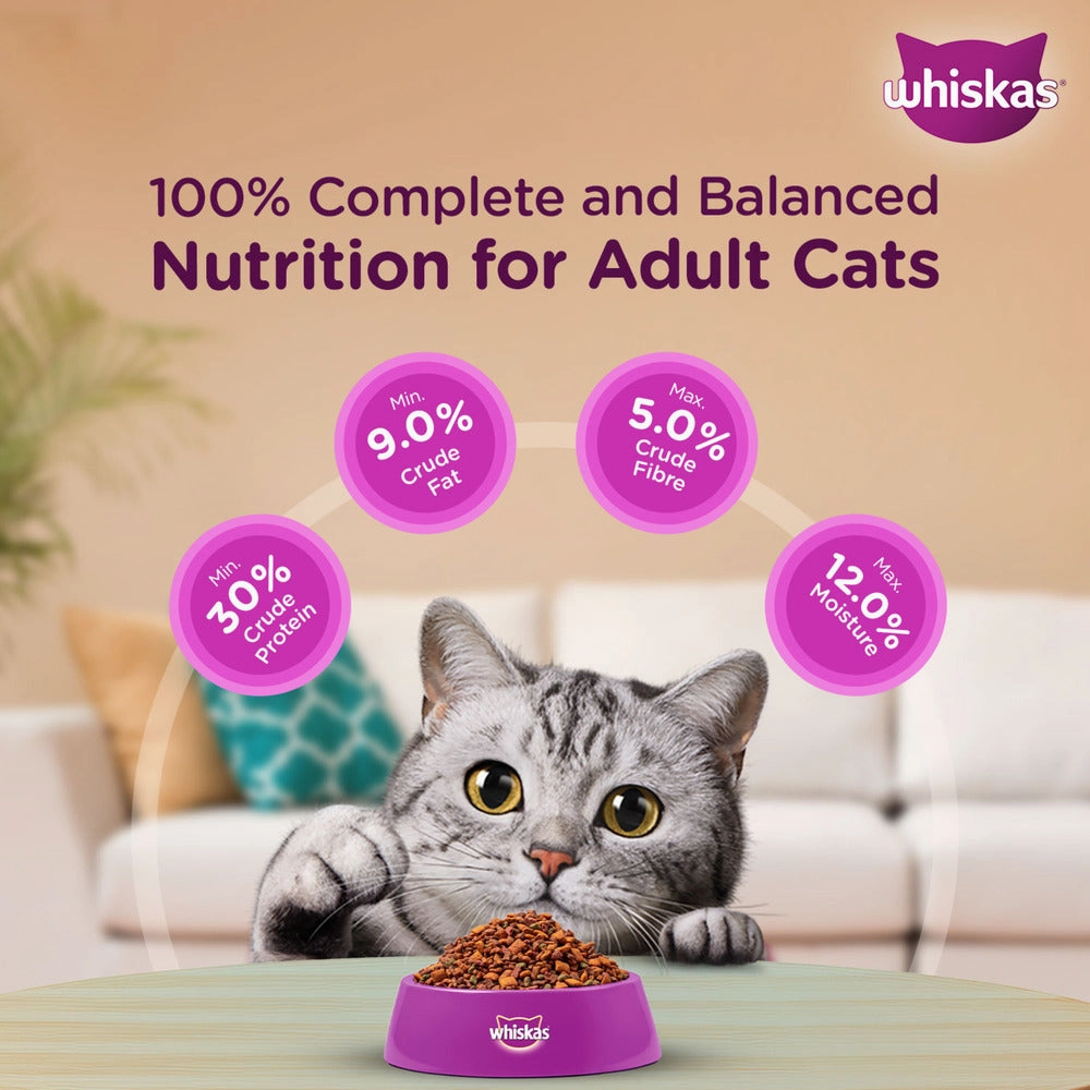 Whiskas Chicken Flavour Cat (Adult 1 ) Dry Food