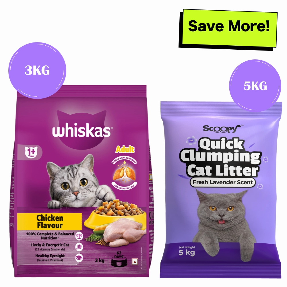 Whiskas Chicken Flavour Cat (Adult 1 ) Dry Food