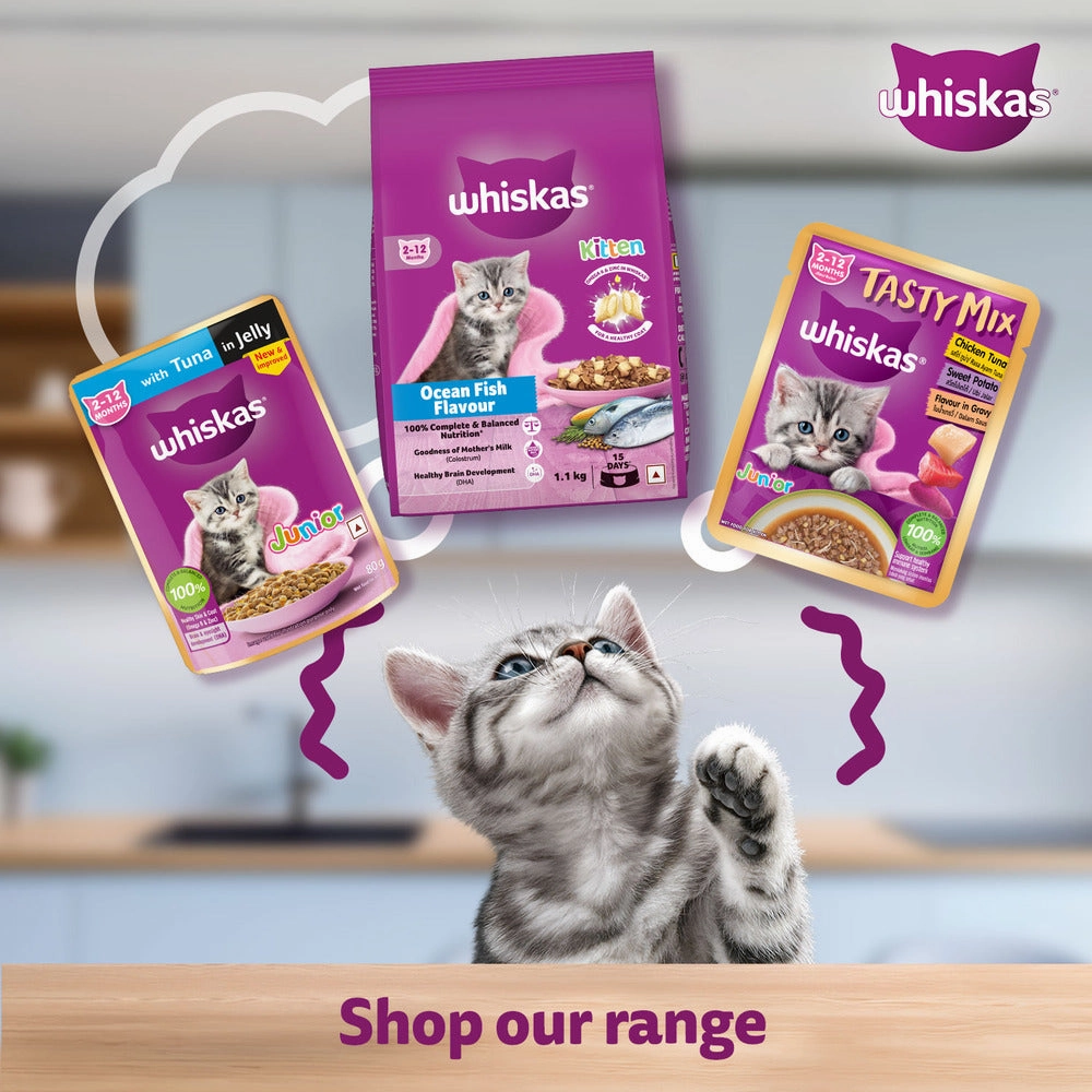 Whiskas Chicken in Gravy Meal Kitten Wet Food