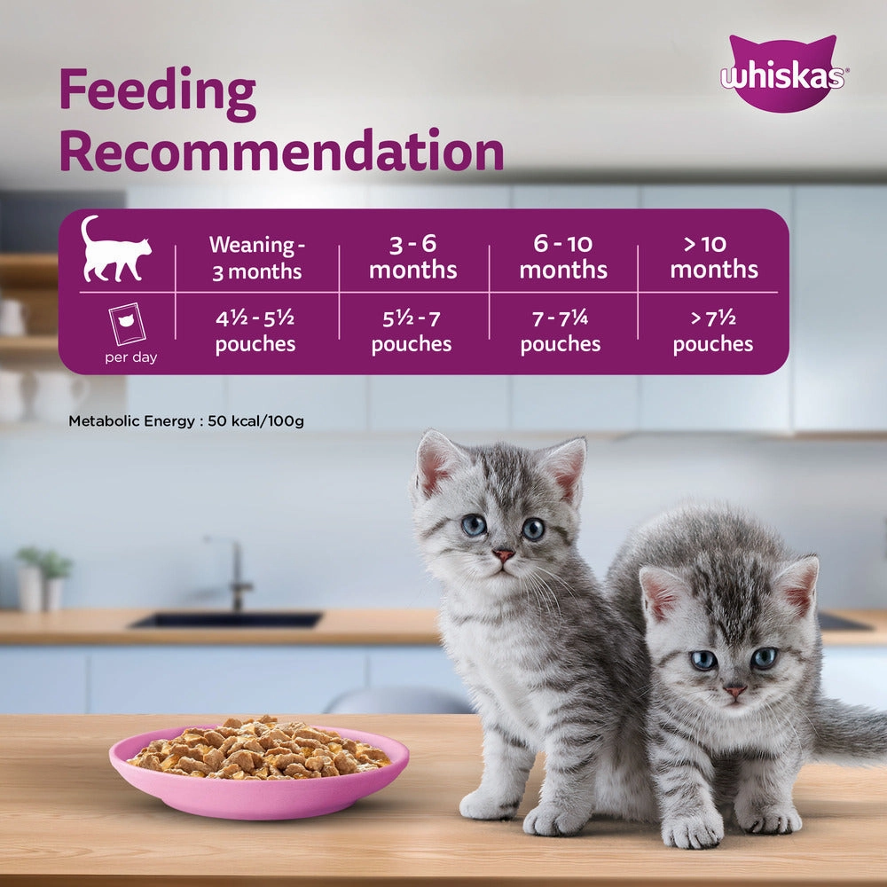 Whiskas Chicken in Gravy Meal Kitten Wet Food