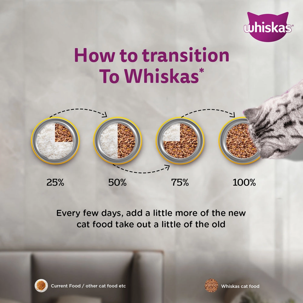 Whiskas Chicken in Gravy Meal Kitten Wet Food