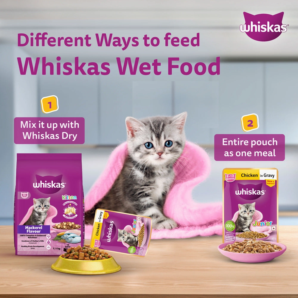 Whiskas Chicken in Gravy Meal Kitten Wet Food