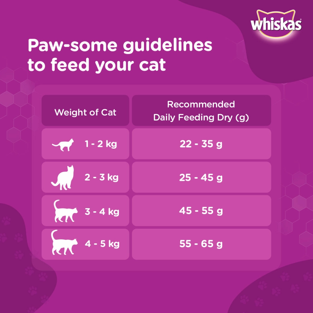 Whiskas Chicken, Ocean Fish and Tuna Flavour Adult Cat Dry Food Combo