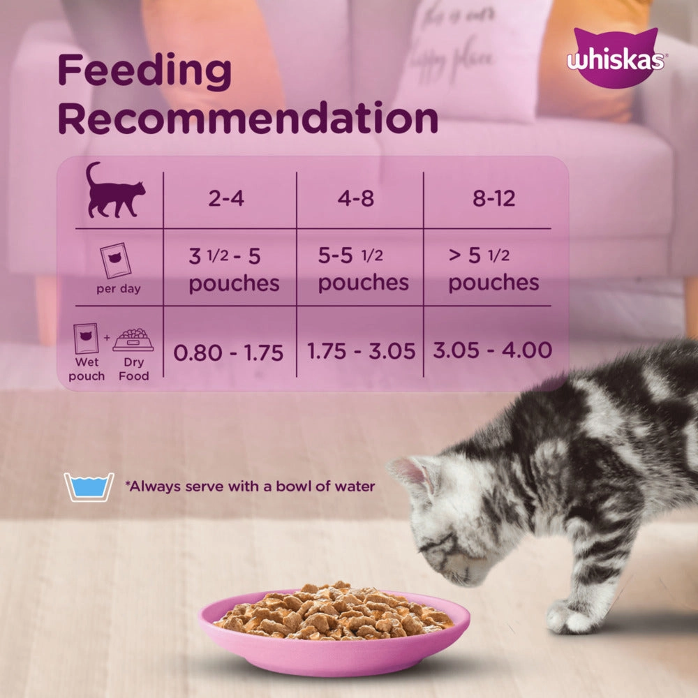 Whiskas Junior Mackerel Flavour Kitten (2-12 months) Cat Wet Food