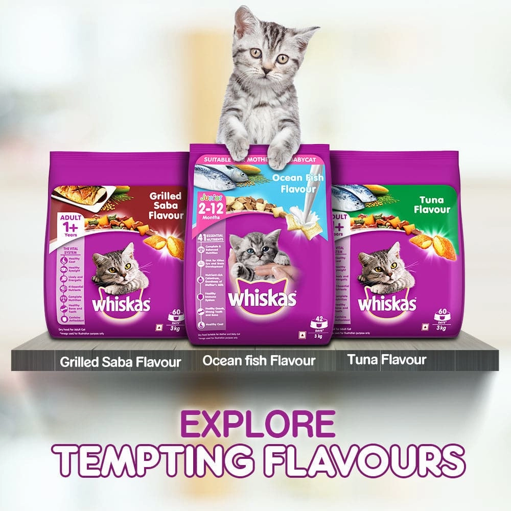 Whiskas Mackerel Flavour Dry Food for Mother and Baby Cat