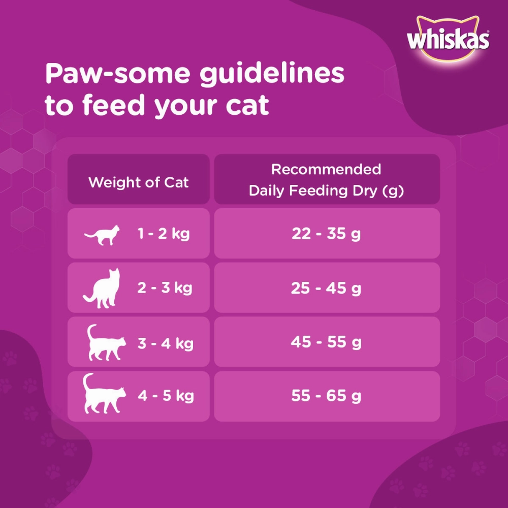 Whiskas Ocean Fish and Tuna Flavour Adult Cat Dry Food Combo