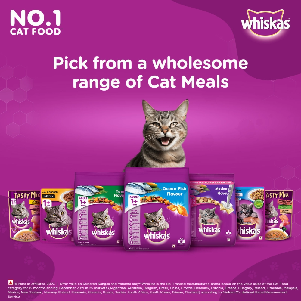 Whiskas Ocean Fish and Tuna Flavour Adult Cat Dry Food Combo