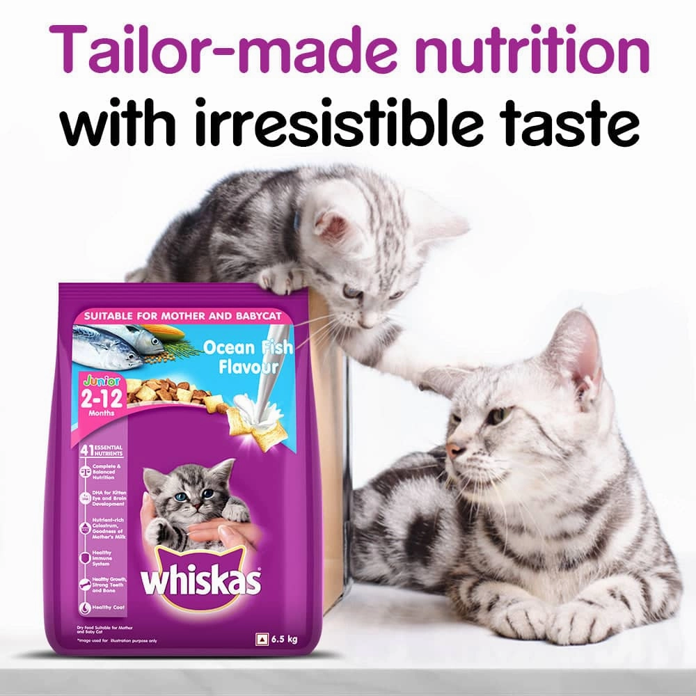 Whiskas Ocean Fish and Tuna in Jelly Kitten Dry and Wet Food Combo
