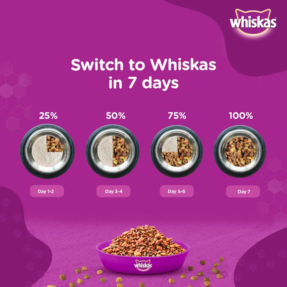 Whiskas Ocean Fish and Tuna in Jelly Meal Adult Cat Wet and Dry Food Combo