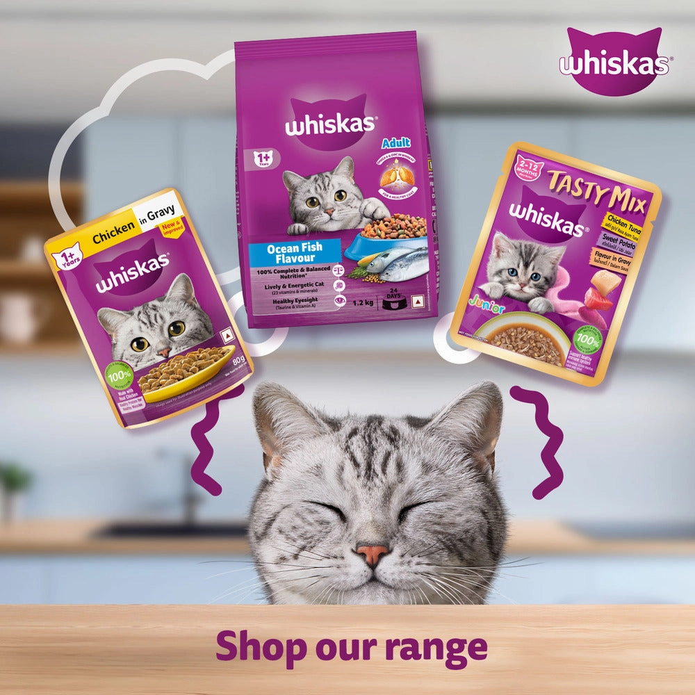 Whiskas Salmon in Gravy Meal Adult Cat Wet Food