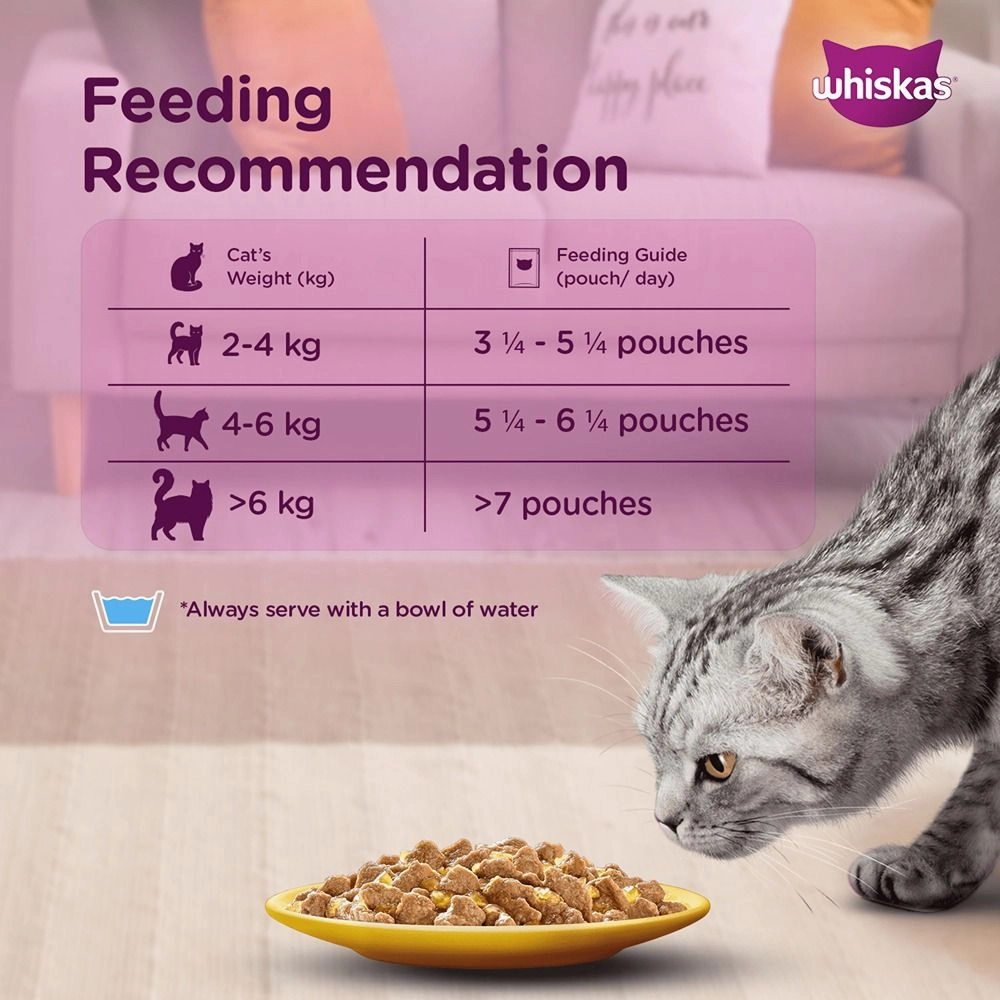 Whiskas Salmon in Gravy Meal and Ocean Fish Adult Cat Wet Food Combo