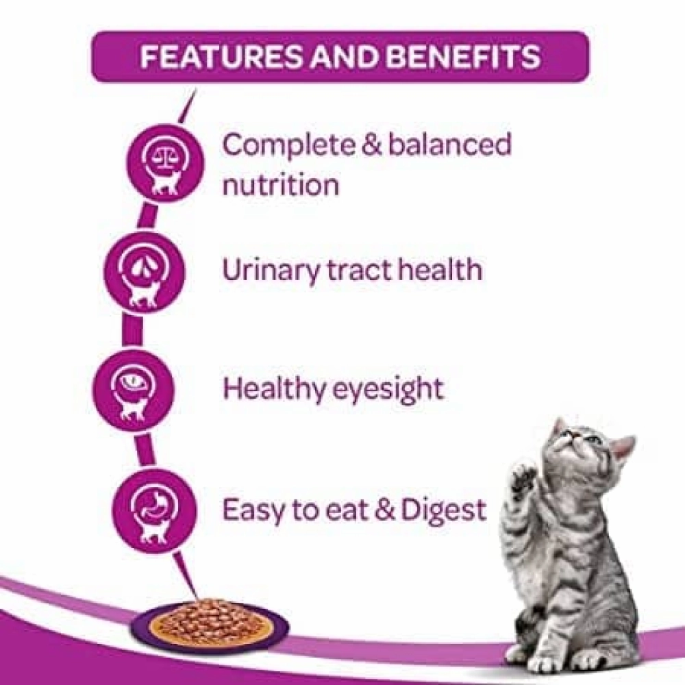 Whiskas Salmon in Gravy Meal and Ocean Fish Adult Cat Wet Food Combo