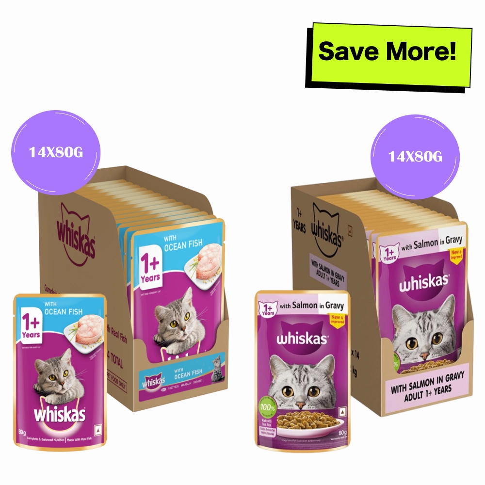 Whiskas Salmon in Gravy Meal and Ocean Fish Adult Cat Wet Food Combo