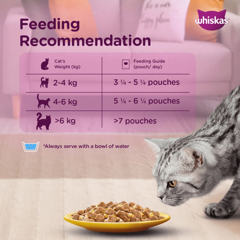 Whiskas Tuna in Jelly Kitten and Chicken Gravy Adult Cat Wet Food Combo