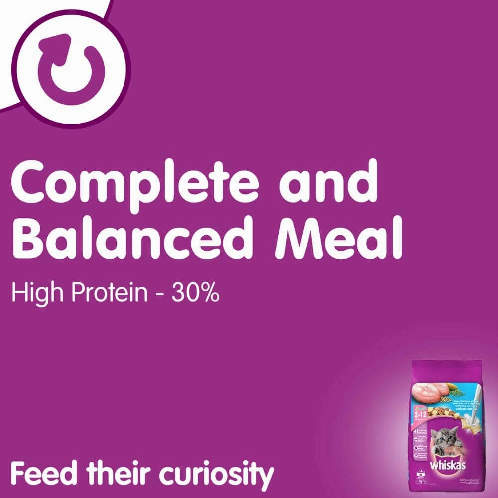Whiskas Tuna in Jelly Kitten Wet Food and Ocean Fish Kitten Dry Food Combo