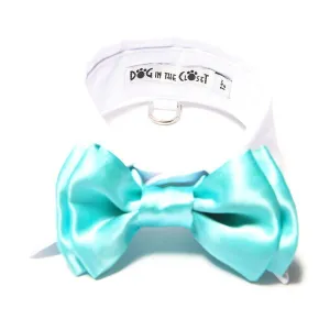 White Shirt Collar With Aqua Blue Dog Bow Tie
