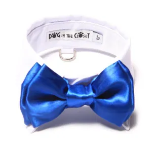 White Shirt Collar With Royal Blue Dog Bow Tie