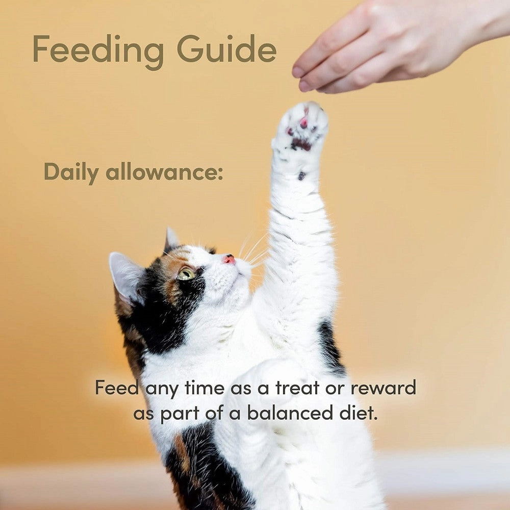 Whole Tuna Loin Cat Treat