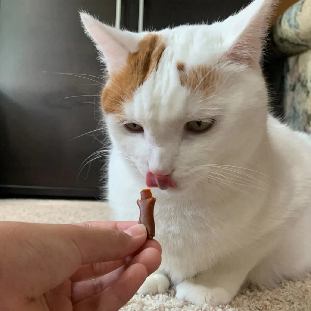 Wrap-Ups - Bacon Pill Wrapper Treats for Dogs & Cats