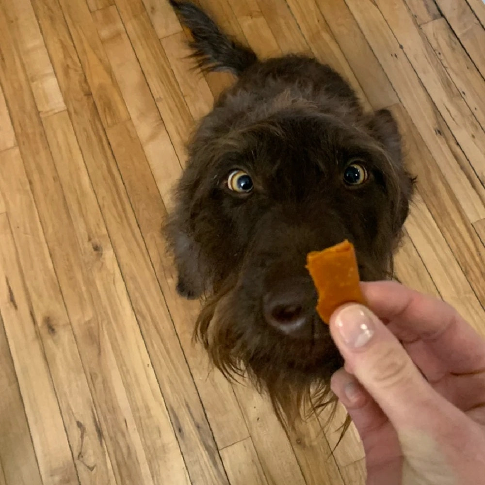Wrap-Ups - Bacon Pill Wrapper Treats for Dogs & Cats