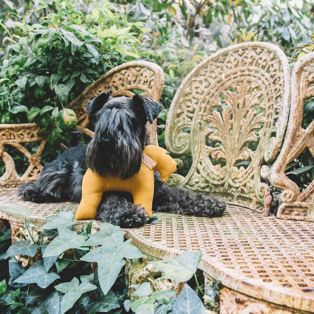 Yellow And Faustina Dog Toy