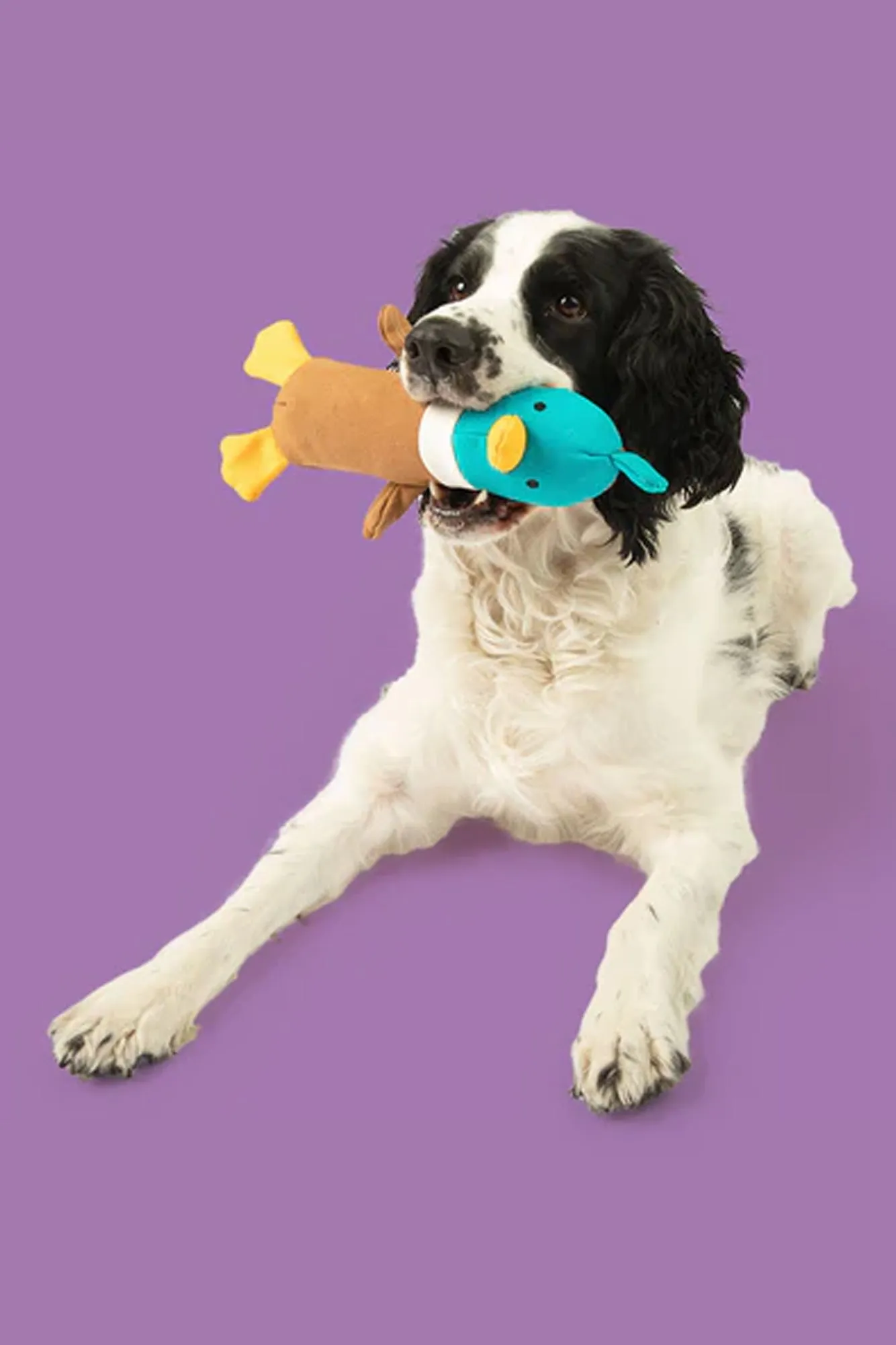Yomp Quackers Plush Dog Toy
