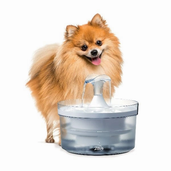 Zeus Fresh & Clear Fountain with Waterfall Spout