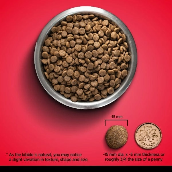 Zo Dog Grain Free Beef with Peas & Pumpkin Dry Dog Food