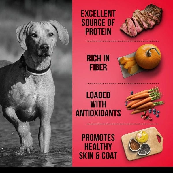Zo Dog Grain Free Beef with Peas & Pumpkin Dry Dog Food